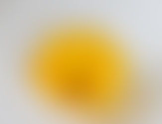 Apricot & carrot tartelette