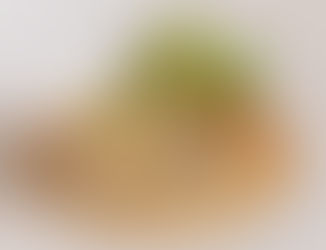 Onion & Mustard Tart with Brioche and Mustard Sauce!