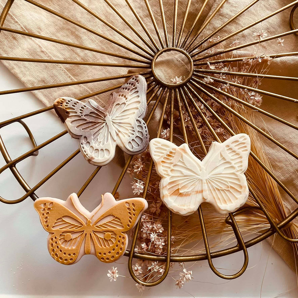 Autumn inspired cookie stamp and cutter set with butterflies