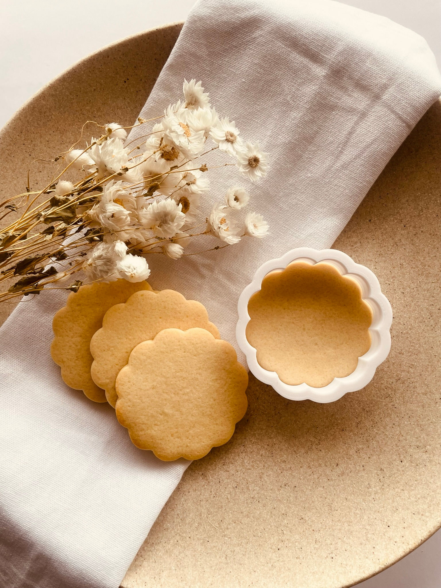 Scallop Circle Cookie Cutter-Template Collection