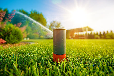 Lawn Sprinkler in Action. Garden Sprinkl