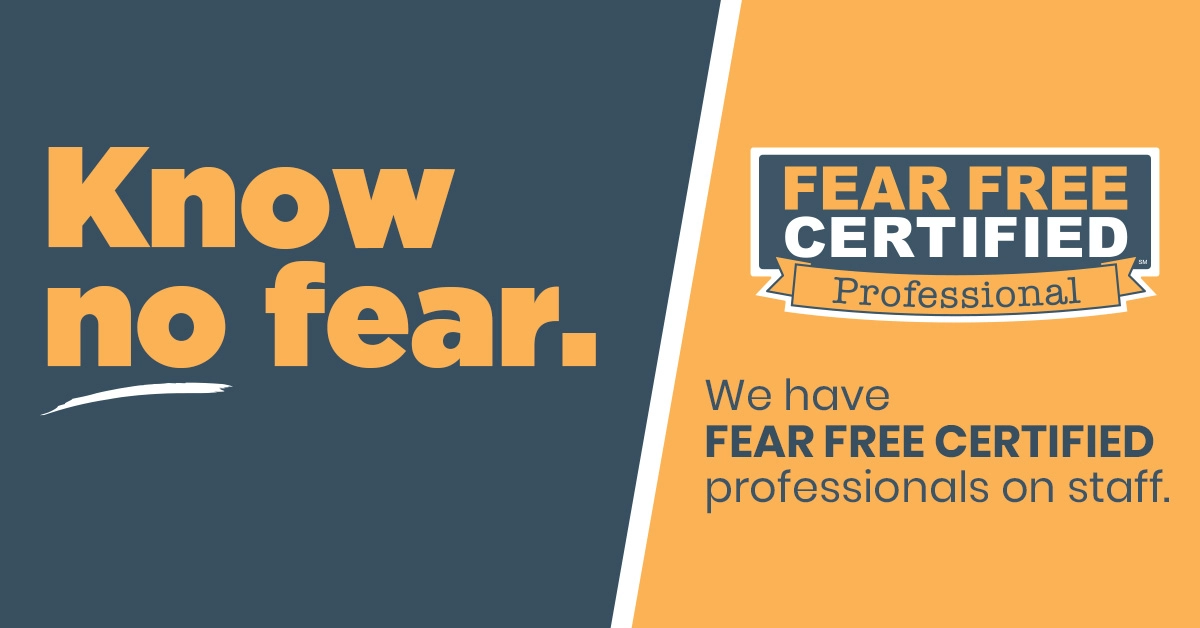 Know-no-fear.webp