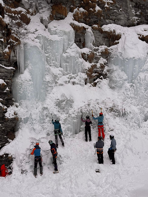 WhatsApp Image 2025-02-01 at 17.23.18.jpeg