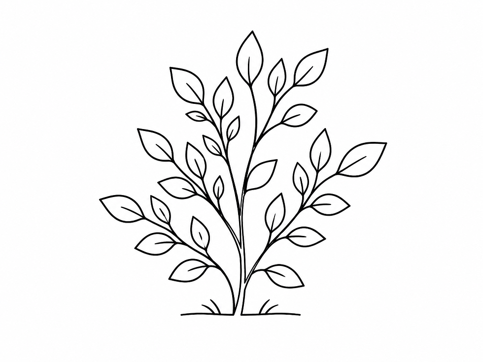 29f30e4b-7172-479c-ad5e-1f9daed00c99.png