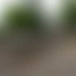 20 juillet -YAINVILLE - séjour