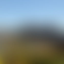 19 avril - GIEN - randonnée à la journée