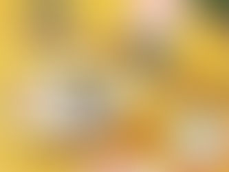 TROPICAL SENSATIONS AND REFRESHING CLASSICS: THE MUZZ BUZZ SMOOTHIE EXPERIENCE