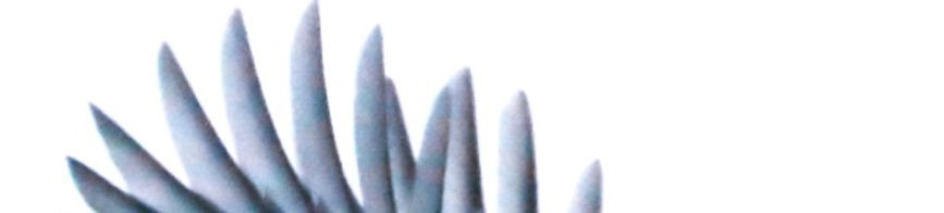 patrick-hendry-550551-unsplash_edited.jp