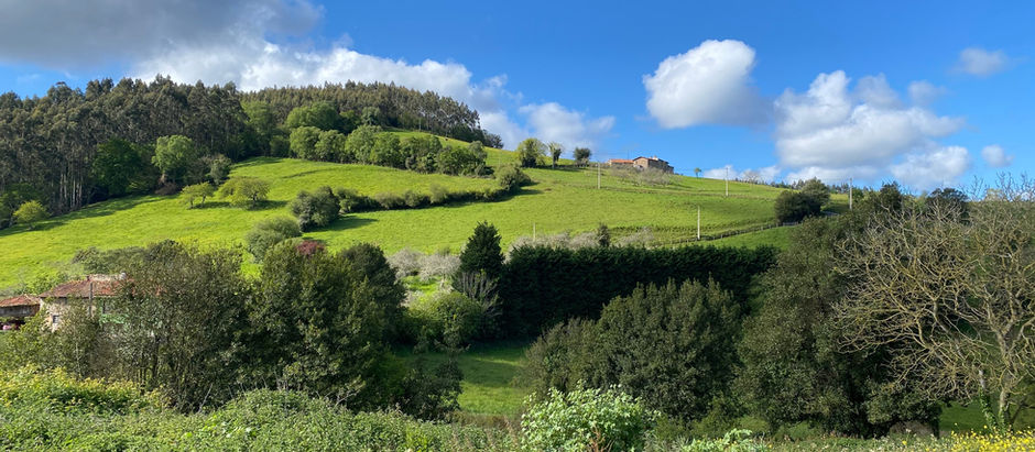 Day 25: Pernús to Villaviciosa