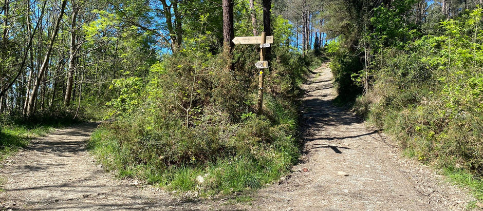 Day 8: Gernika to Lezama