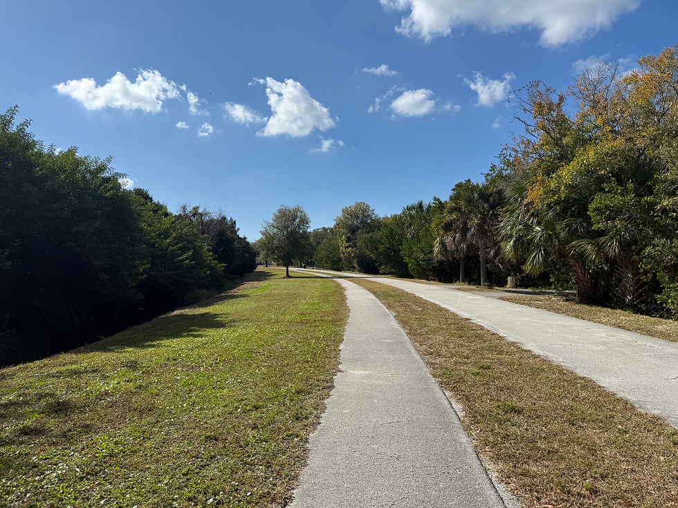 Trail moves off the main road