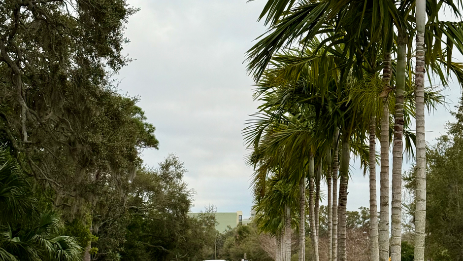 Pinellas Trail, Day 3.5: Rest and route reconnaissance day + short Largo catch-up