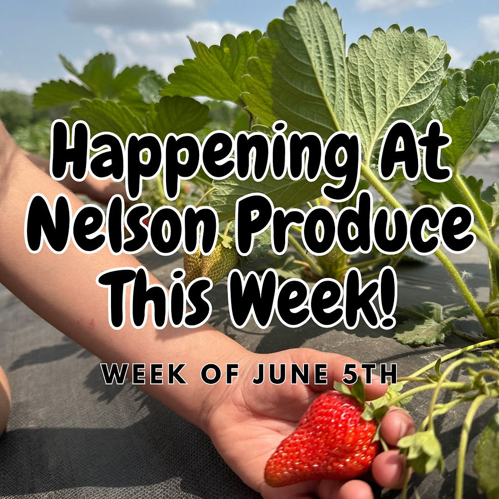 What's Happening Nelson Produce Farm??