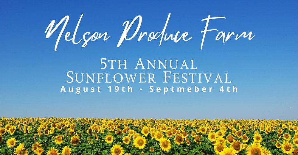 Nelson Produce Farm 🌻SUNFLOWER FESTIVAL🌻 WEEK 1