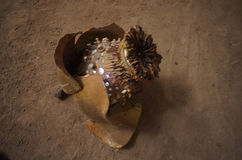 DSC09377.JPG