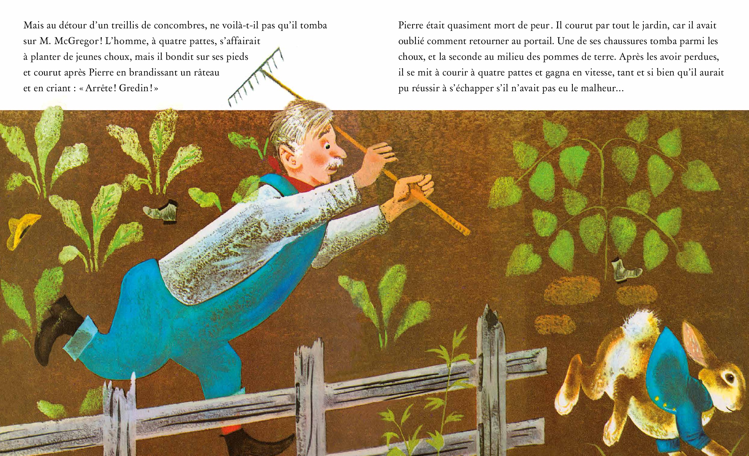 Pierre Lapin Thepicturebookagency