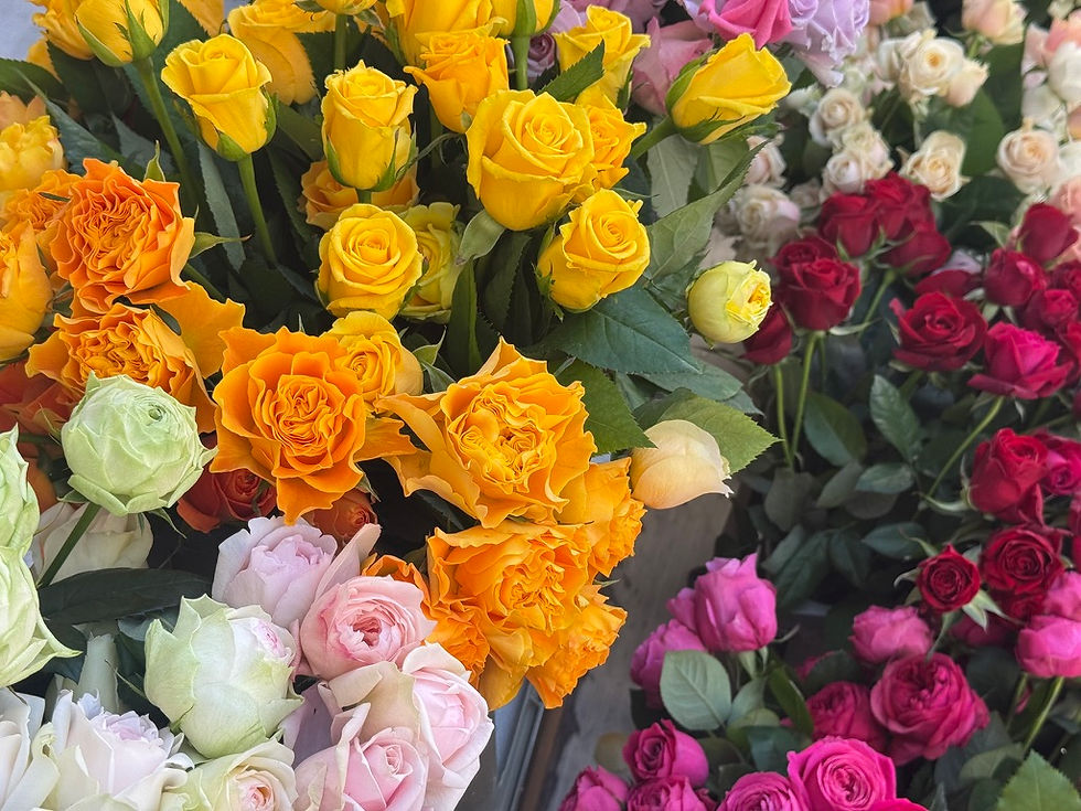 毎回どんな種類が届くかワクワクな500本