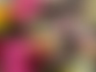 4月18日(土)第18回 Poppin Rose Market を開催します!