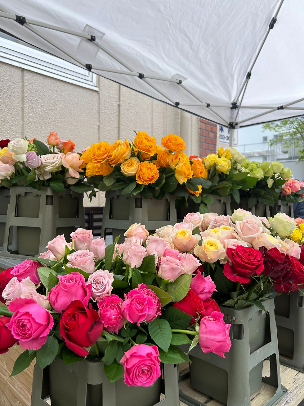 4月18日（土）第18回 Poppin Rose Market を開催しました！