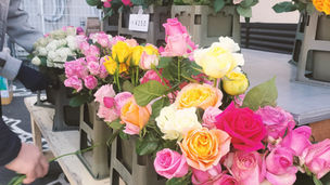 2月21日（土）第16回 Poppin Rose Market を開催しました！