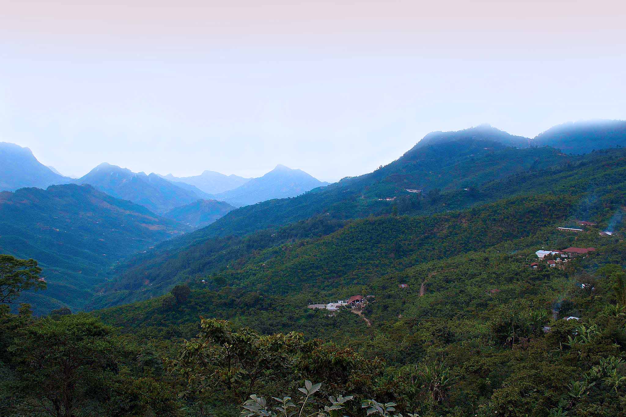 IN QUIET HOPES OF ABSOLUTION, Guatemala