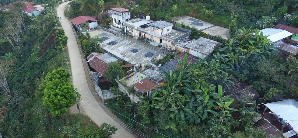 CEDROS DE PALMIRA FARM.jpeg