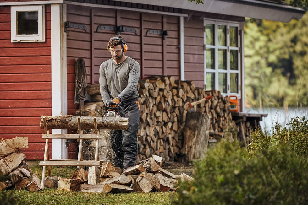 Miniature : STIHL MS162CBE