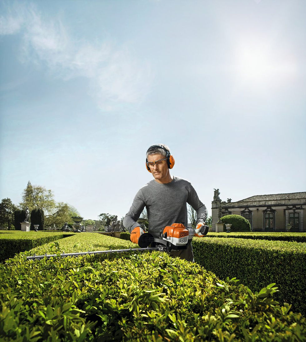 Miniature : STIHL HS87R750