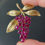Thumbnail: The Vineyard Brooch