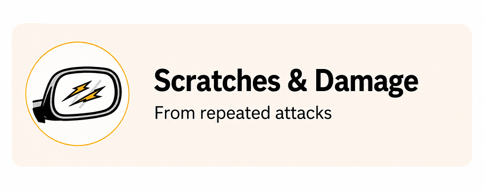 Scratches 3rd Icon.png