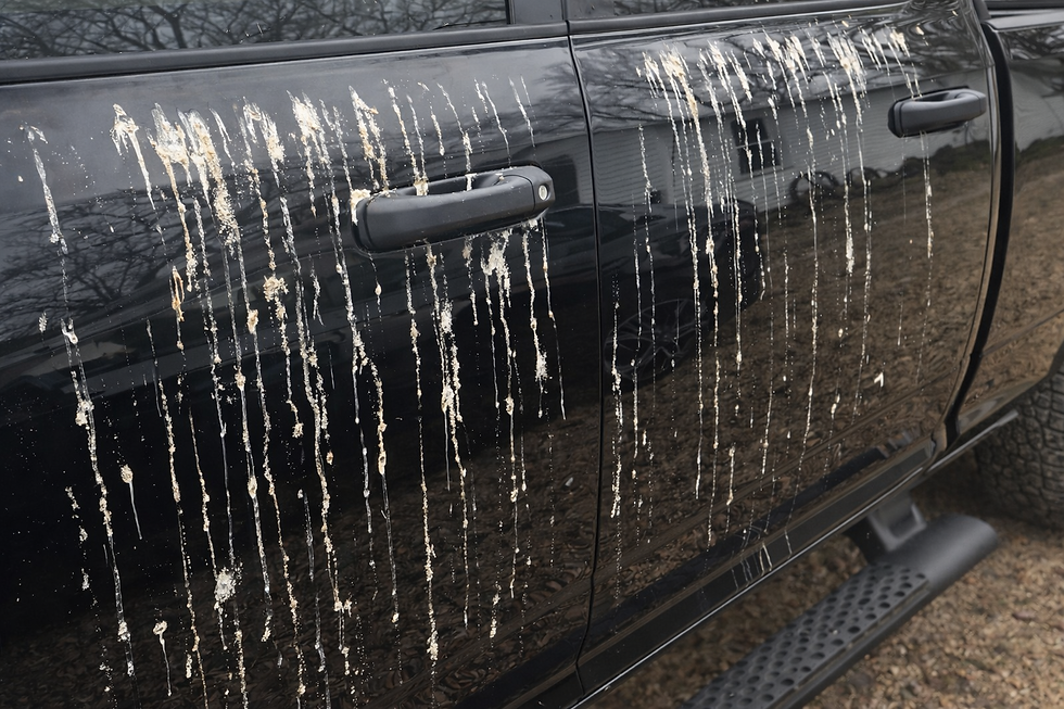 Black car door covered in bird droppings