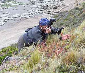 <button title="Mujer para tomar foto de la orquÃdea">Iniciar sesión</button>