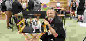 DoDogDogd