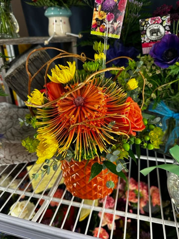 image5.jpeg