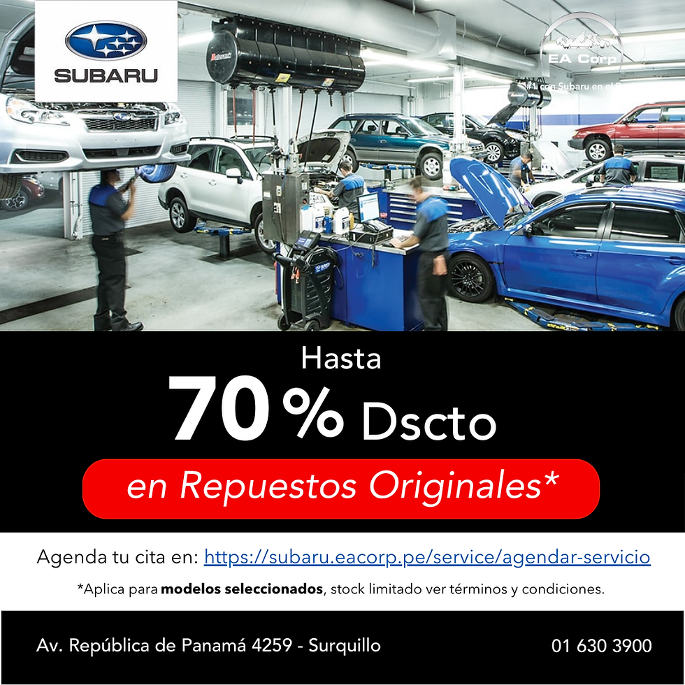 (1) DIC REPUESTOS.png