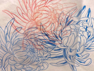 Tutorial: How to draw a chrysanthemum