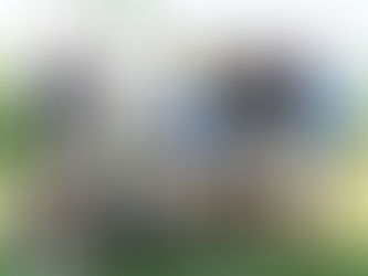 YOUR Williamson Summer 2012