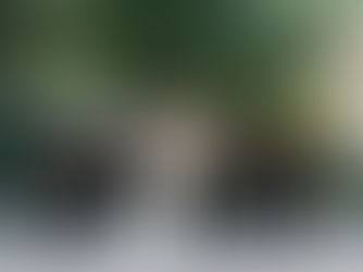 Brooke & Riley Magnuson