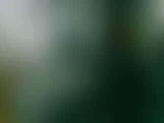 Jeff Garner & the Fight Against Toxic Textiles