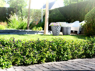 Three Projects to Make Your Landscape the Neighborhood Favorite