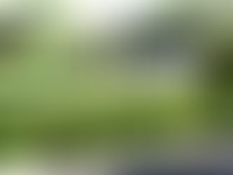 Three Projects to Make Your Landscape the Neighborhood Favorite