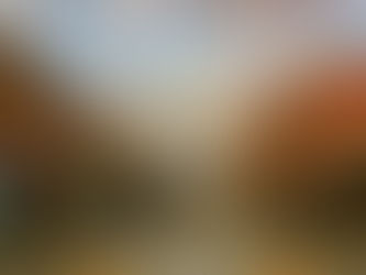 YOUR Williamson November 2016