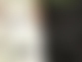 YOUR Williamson Winter 2015