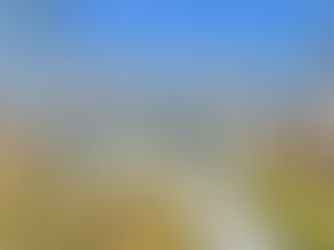 5896 Pinewood Road | Franklin Tennessee 37064