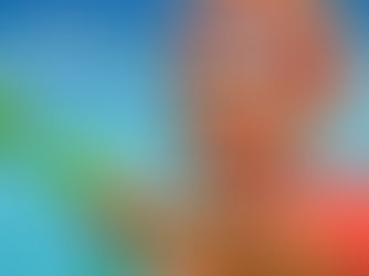 Survivor 45 - Julie Alley's Journey