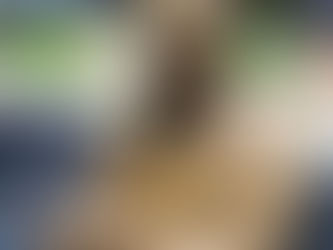 Lost Heroes of Williamson County Memorial Statue