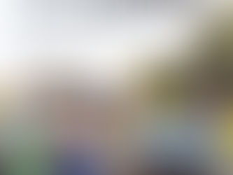 YOUR Williamson Summer 2013