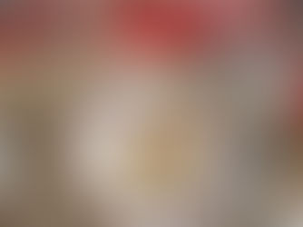 YOUR Williamson November 2017