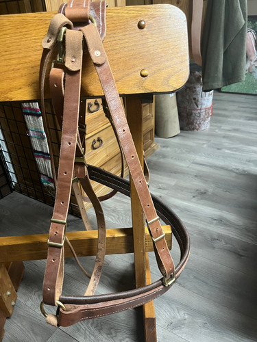 Britchin | Rocky Mountain Mules