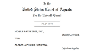 Coal Ash Lawsuit Reinstated by US Court of Appeals Ruling
